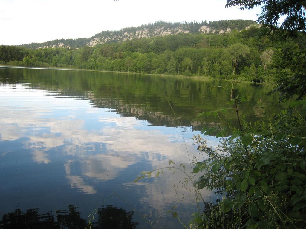 Auberge Du Herisson La Chaux-du-Dombief Kültér fotó
